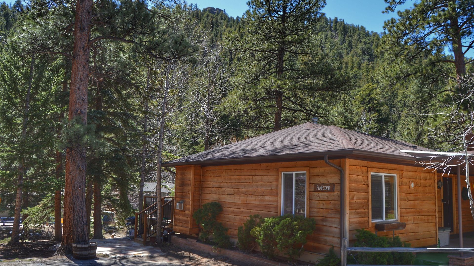 Pine Cone Exterior